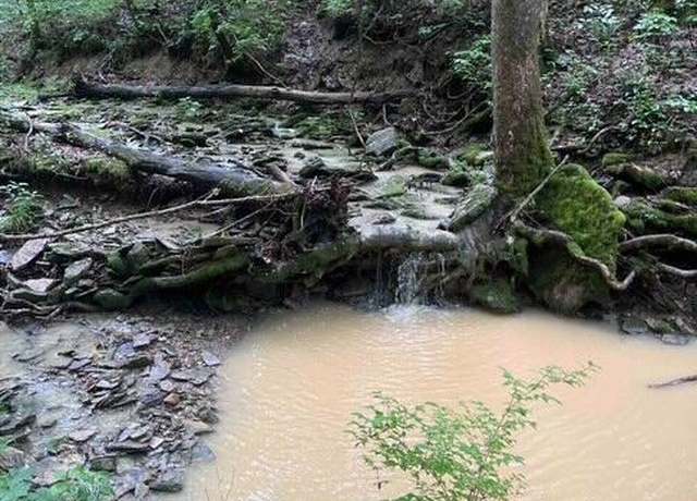Property at 1354 Jackson Ridge Rd, Worthville, KY 41098