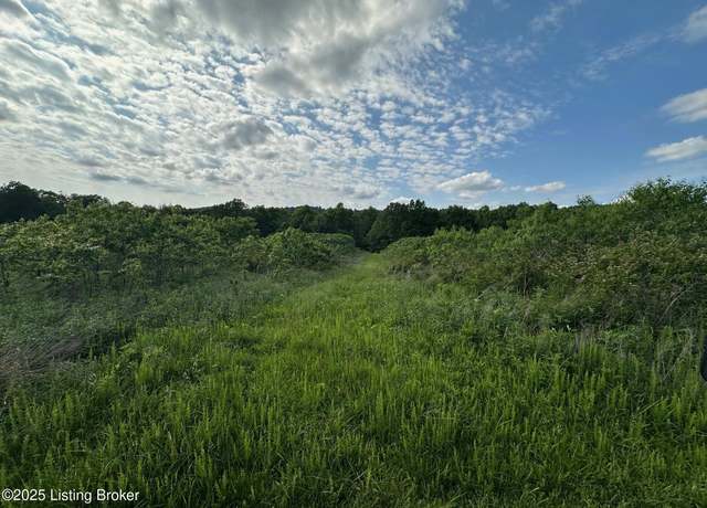 Property at 0 Blain Cannon Rd, Falls Of Rough, KY 40119