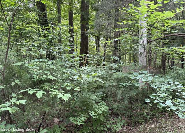 Property at 69,70,71,7 Winesap Dr, New Haven, KY 40051