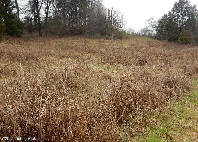 Property at 246 Eva-michele Ln, Shepherdsville, KY 40165