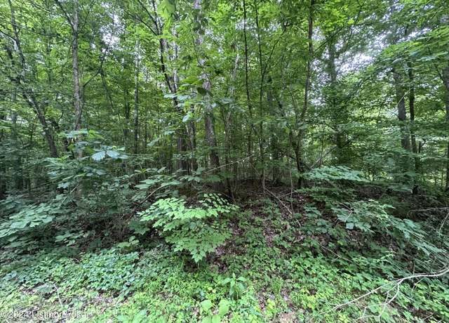 Property at 76,77 Winesap Dr, New Haven, KY 40051