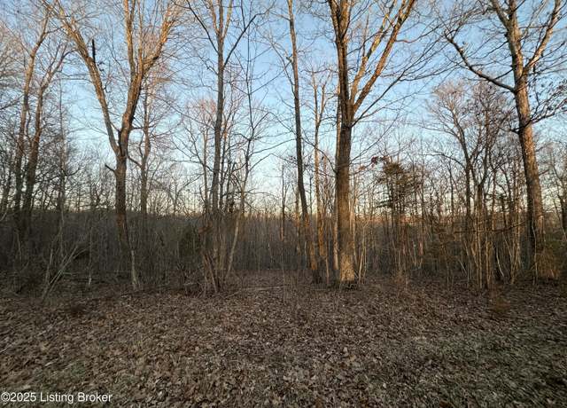 Property at Lot 2 Levelwoods Rd, Campbellsville, KY 42718