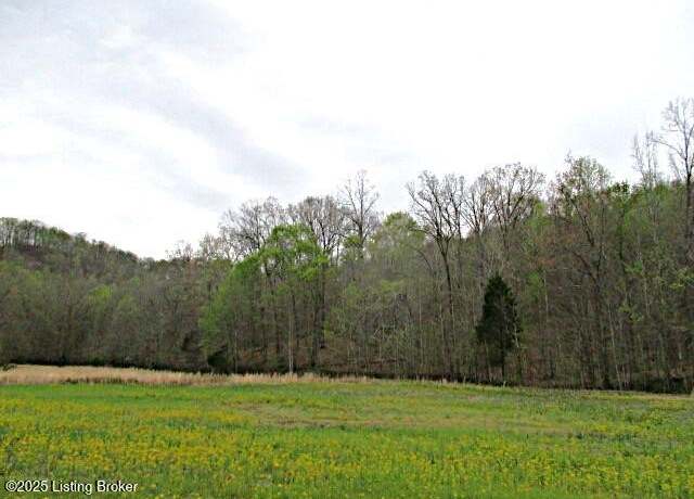 Property at Lot 38 Sulphur Lick Rd, New Hope, KY 40052
