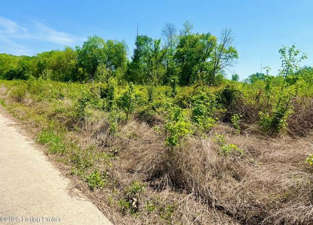 Property at 0 Sandy Court East - Lot 153, Falls Of Rough, KY 40119