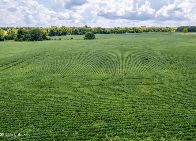 Property at TR 4 Cropper Rd, Pleasureville, KY 40057