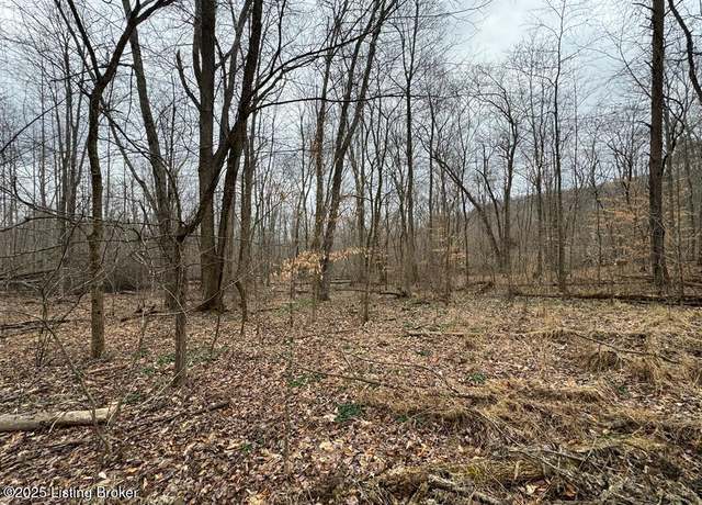 Property at 0 Hardwood Rd, Wallingford, KY 41093