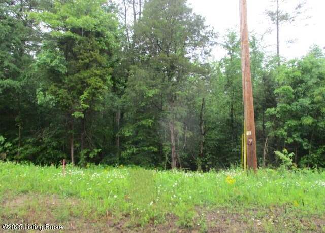 Property at lots 18&19 Brier Creek Rd, Mammoth Cave, KY 42259