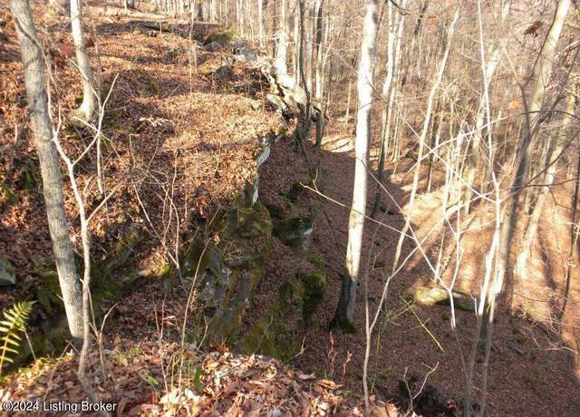 Property at 0 Benleo Rd, Bowling Green, KY 42101
