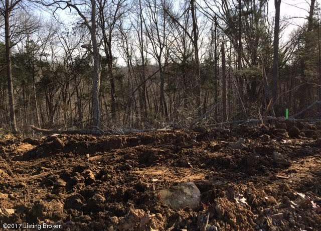 Property at Lot #98 Bluff's Edge Dr, Mt Washington, KY 40047