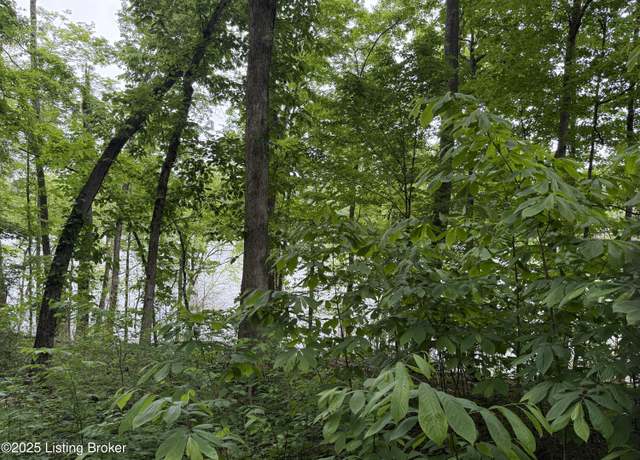 Property at 35 Penn Run Rd, Bee Springs, KY 42207