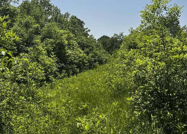 Property at 271 Long Lick Farm Rd, Shepherdsville, KY 40165