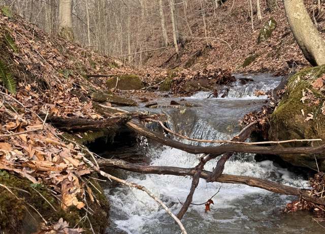 Property at 0 Plum Fork Rd, South Shore, KY 41175