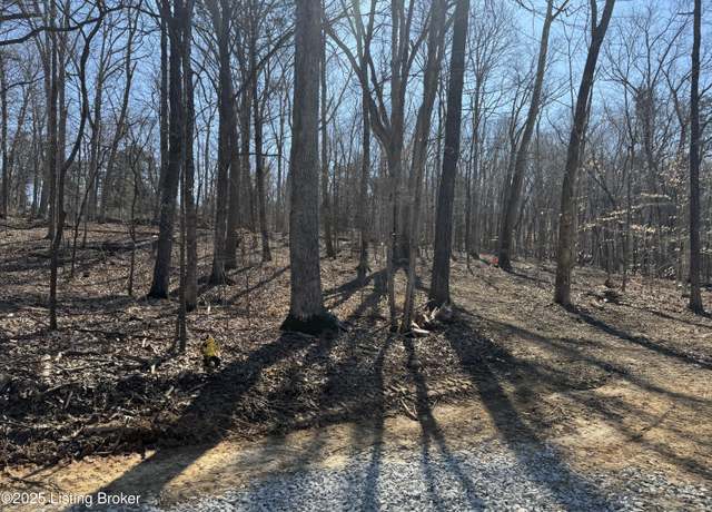 Property at 679 Dog Creek Rd, Cub Run, KY 42729