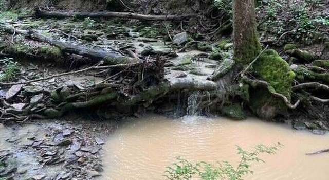Photo of 1354 Jackson Ridge Rd, Worthville, KY 41098