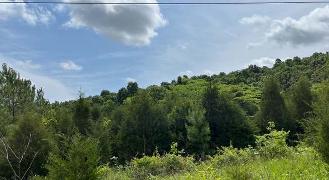 Photo of Lot 2 Shaw Creek Rd, Big Clifty, KY 42712