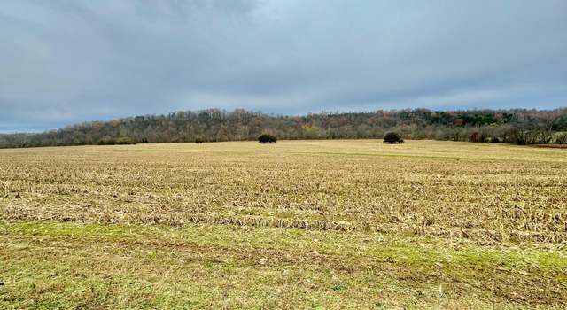 Photo of 5 Grundy Home Rd, Springfield, KY 40069