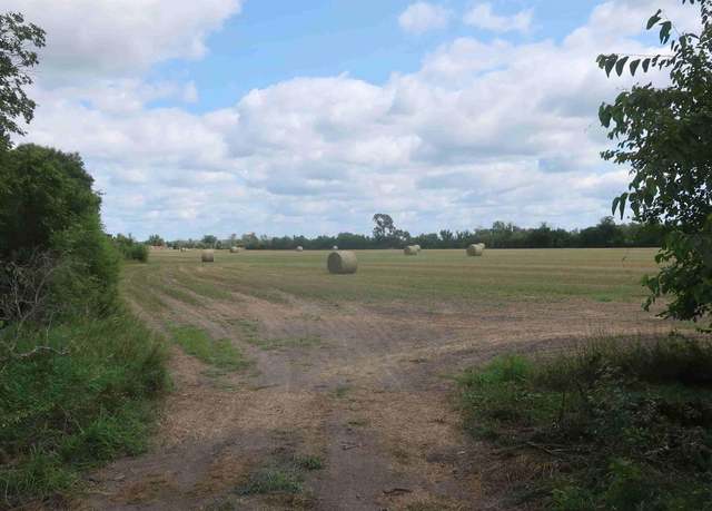 Property at County RD P33 Parcel #890028994, Blair, NE 68008