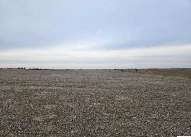 Property at Parcel A County Road K, Yutan, NE 68073