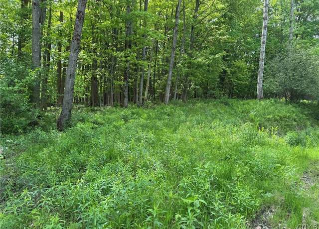 Property at Cr-48, Ellery, NY 14701