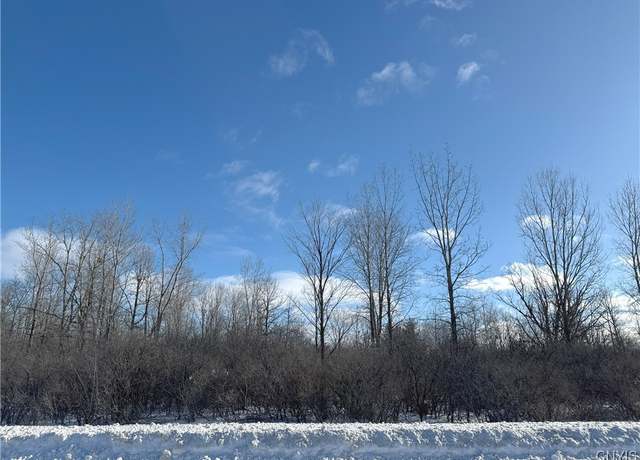 Property at 25768 Nys Rte 12, Pamelia, NY 13637