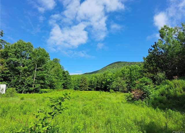 Property at 0 Little Tor Rd, Black Brook Twp, NY 12912