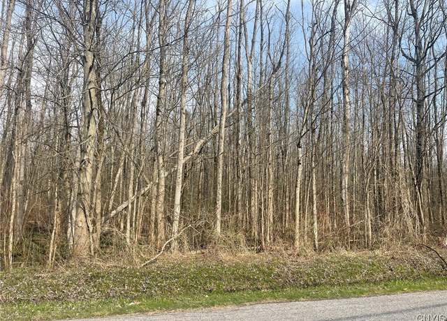 Property at Lewis Point Rd, Lenox, NY 13032