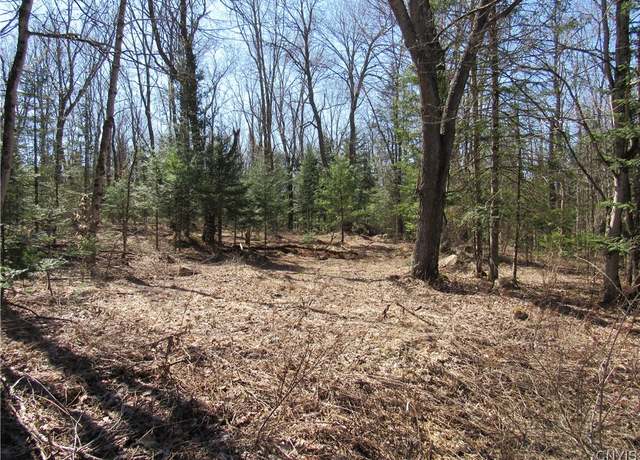 Property at 1018 South Rd, Forestport, NY 13338