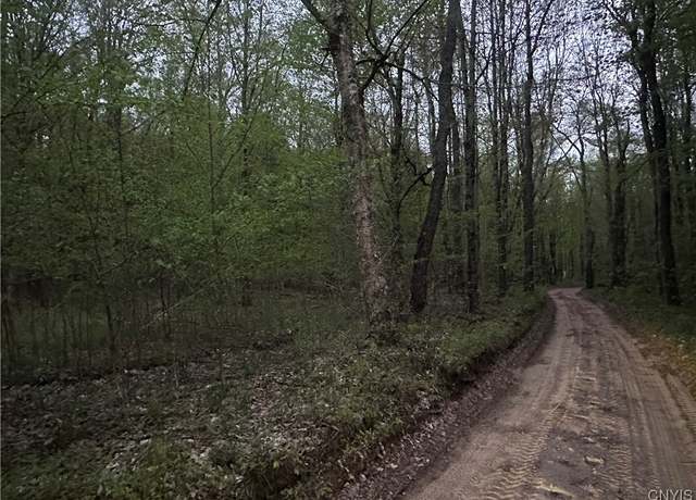 Property at 0 Otter Creek Trl, Greig, NY 13345