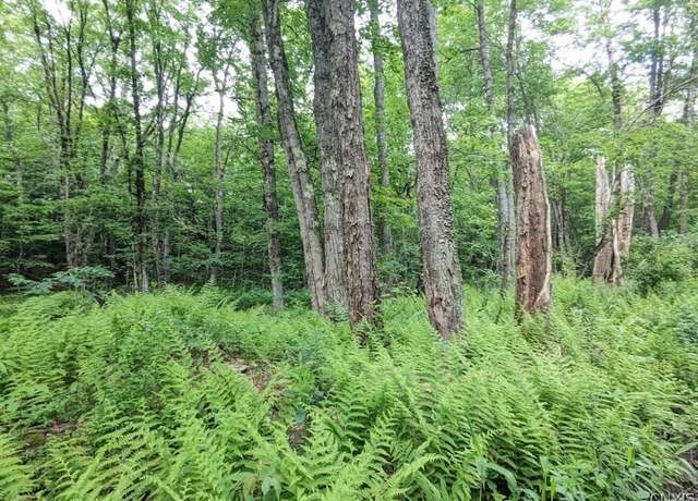 Property at 5 Rose Bud, Florence, NY 13316