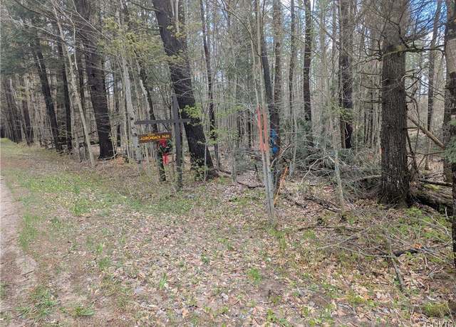 Property at 7418 Pennysettlement Rd, Lyonsdale, NY 13433