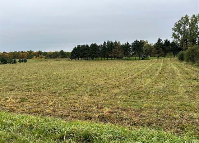 Property at 00 Plank Rd, Pamelia, NY 13616