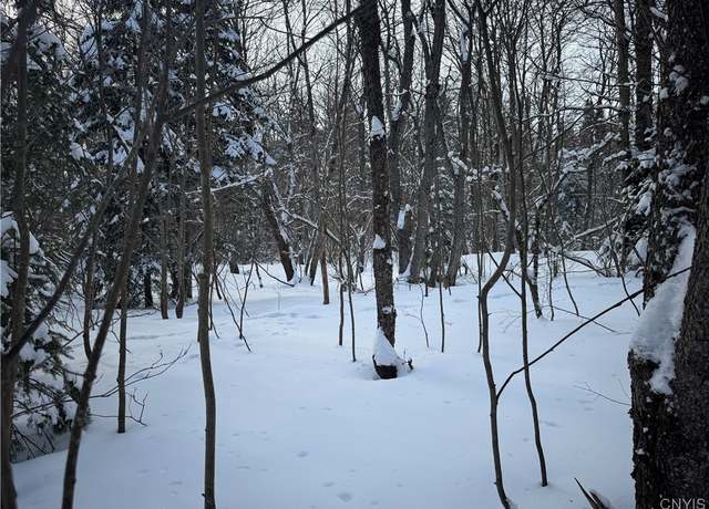 Property at 00 Kotary Rd, Lewis, NY 13325
