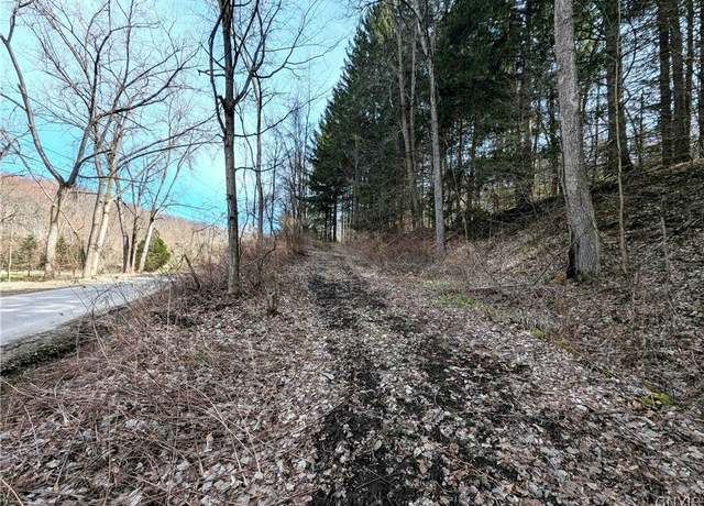 Property at Ryan Hollow Rd, Cohocton, NY 14826