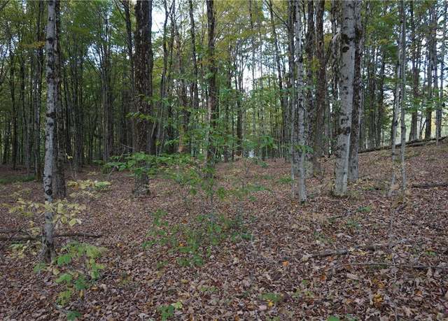 Property at 0 Mc Caw Rd, Redfield, NY 13493