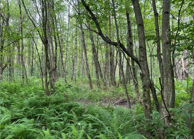 Property at 42 Kimball Camp Rd, Orwell, NY 13144