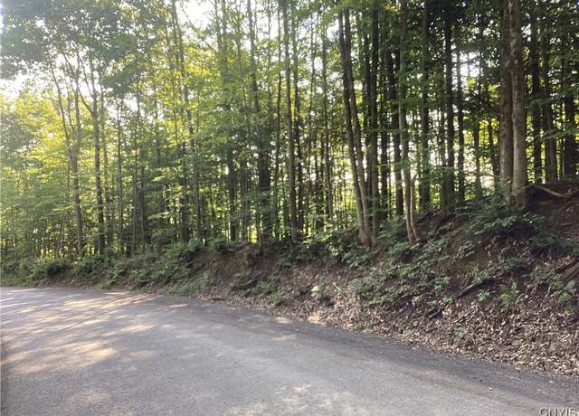 Property at Smith Hill Rd, Deerfield, NY 13502