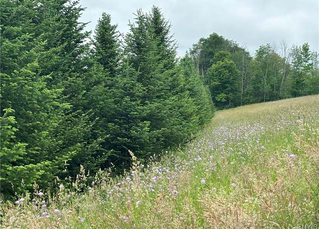 Property at Mcgraw Marathon Rd, Marathon, NY 13803
