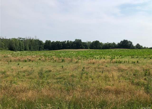 Property at 00 Dutch Ridge Rd - Lot #6, Scriba, NY 13126