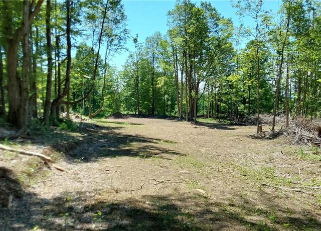 Property at 1273 Newport Gray Road Rd, Norway, NY 13416