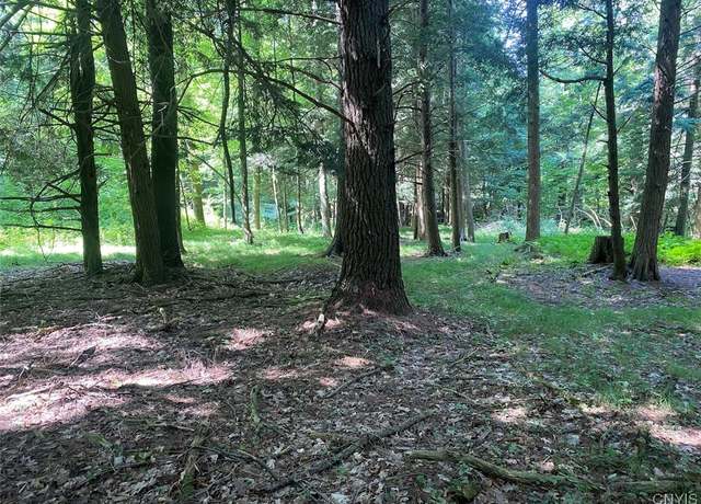 Property at State Route 244, Ward, NY 14813