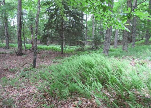 Property at Tamarack Dr, Webb, NY 13420