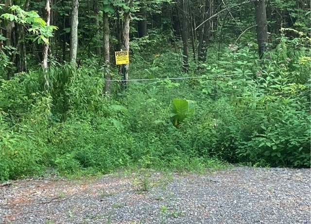 Property at Lead Mine Rd, Rossie, NY 13679