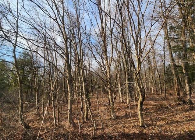 Property at 00 Jess Dr, Redfield, NY 13437