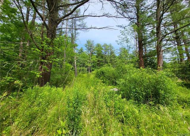 Property at 0 Midline Rd, Dryden, NY 13068