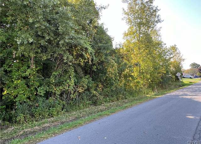 Property at 0  (Lot 39) Downey Dr, Scriba, NY 13126