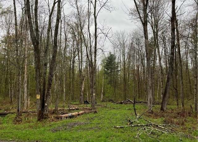 Property at 0 Chase Rd, Florence, NY 13316