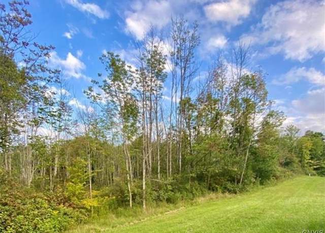 Property at 00 Trenton Rd, Deerfield, NY 13502