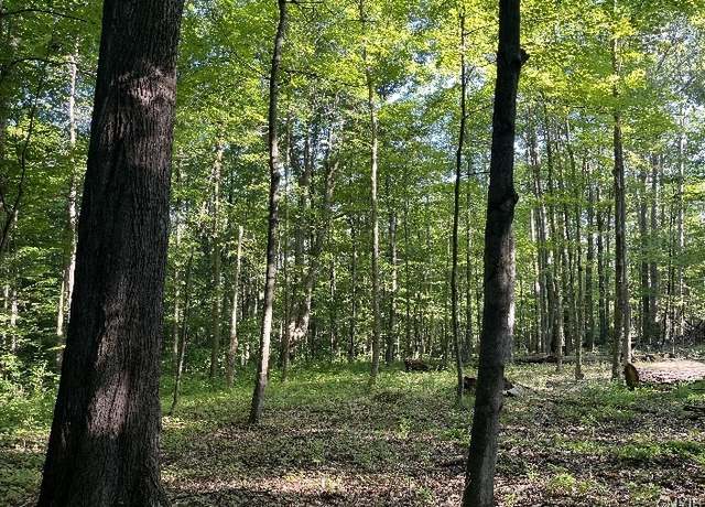 Property at Conesus Sparta Townline Rd, Sparta, NY 14437