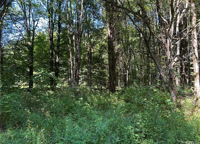 Property at 33 Austin Rd, Albion, NY 13302