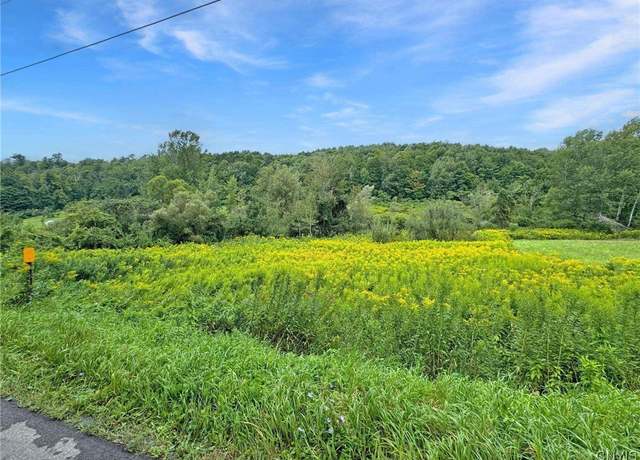 Property at Lot 1 Brewer Rd, Columbia, NY 13357